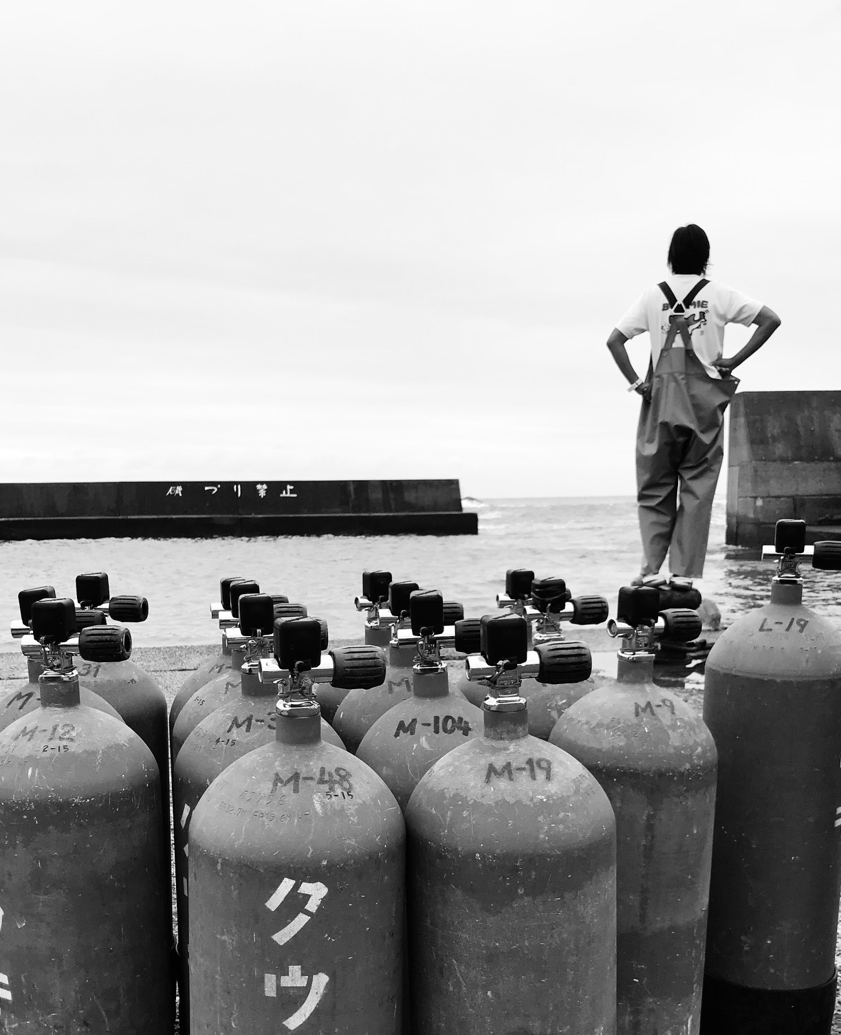 What to expect on the day of diving in Japan | Dive Japan