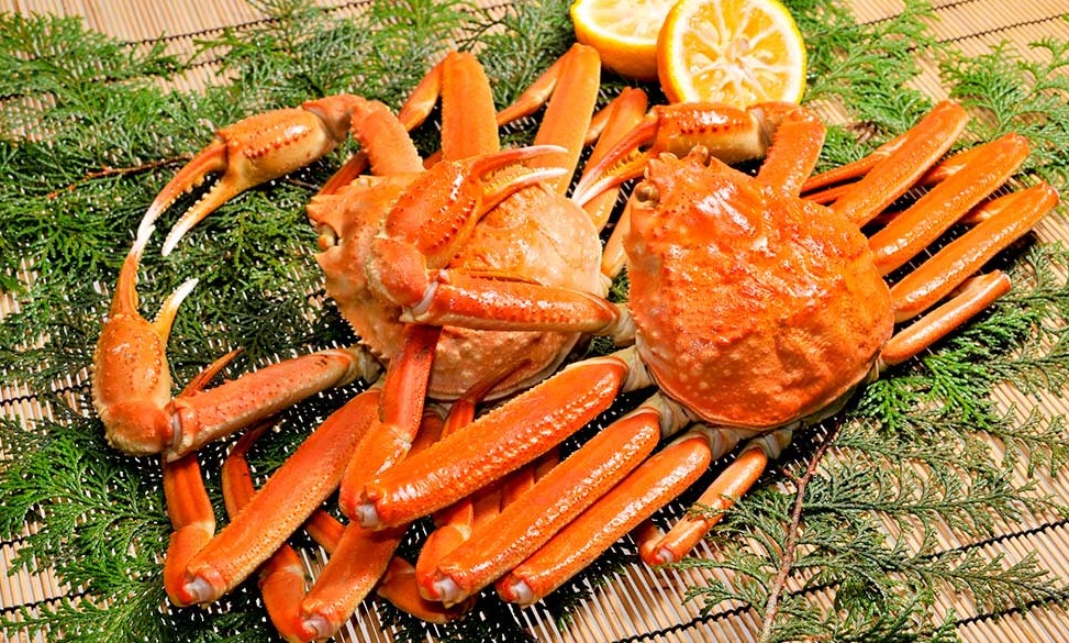 For a Winter Delicacy, Look No Further Than the Zuwaigani Snow Crab! Dive Japan