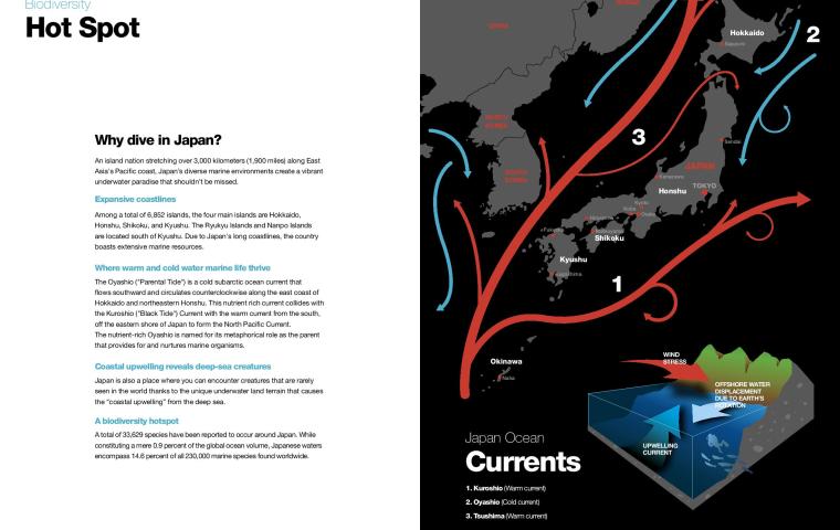 Bio Diversity Diving Spots Japan Page 3