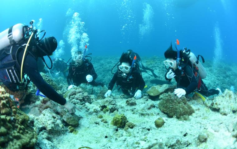 Underwater