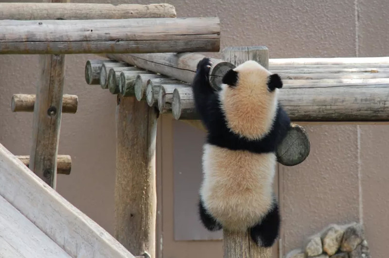 Wakayama Adventure World