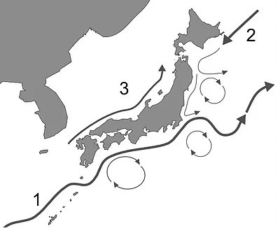 Japan's Ocean Currents