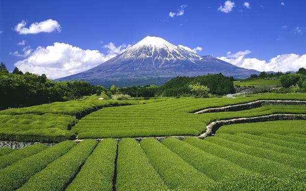 Shizuoka Prefecture